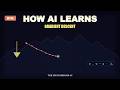 Gradient Descent: The Algorithm That Trains Every AI Model