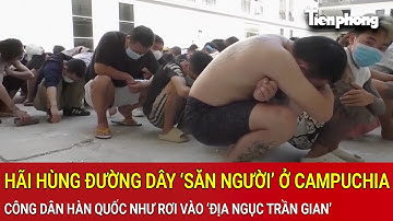 Hãi hùng đường dây ‘săn người’ ở Campuchia, công dân Hàn Quốc như rơi vào ‘địa ngục trần gian’