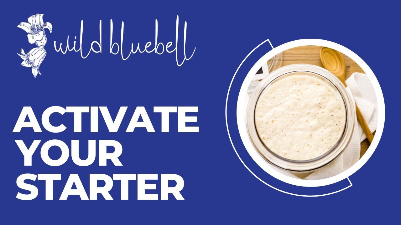 Activating Dehydrated Sourdough Bread Starter Culture YouTube