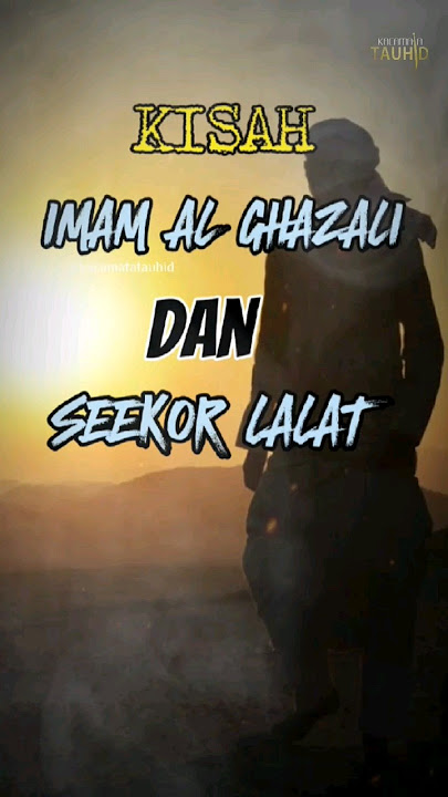 MasyaAllah! kisah imam Al GHAZALI dan seekor lalat | kacamata tauhid #kisah #alghazali #motivasi