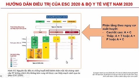 Điều trị kháng ngưng tập tiểu cầu kép trong hội chứng vành cấp