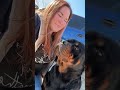 My Sweetest Girl 💖 MAIA 💖 #RottieMom #TheSweetest #LoveHer #RottweilerWorld