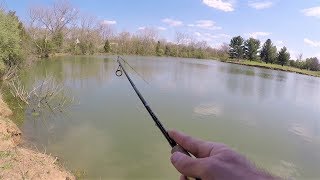 Fishing a NEW Pond for Anything That Will Bite (multi species fishing)