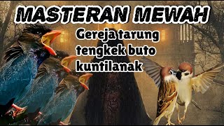 Download Mp3 MASTERAN MEWAH gereja tarung tengkek buto kunti. Cocok untuk burung cucak ijo, murai batu dan cendet Gudang lagu Download Mp3 MASTERAN MEWAH gereja tarung tengkek buto kunti. Cocok untuk burung cucak ijo, murai batu dan cendet