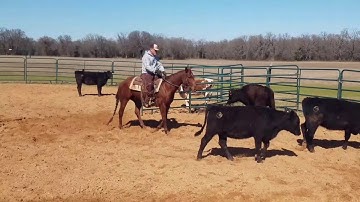 Yada Yada Boon - Ranch Sorting
