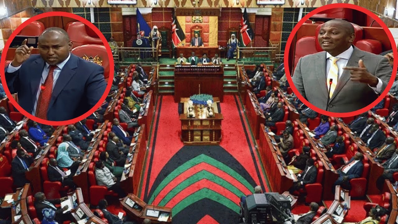 LIVE; National Assembly Proceedings Today November 19th, 2025 ...