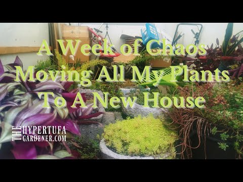 How To Move Plants To A New House - Part One of A Week Of Chaos