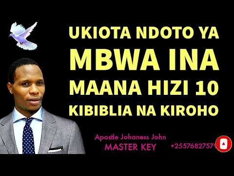UKIOTA NDOTO YA MBWA INA MAANA HIZI 10 KIBIBLIA NA KIROHO Apostle Johaness John 