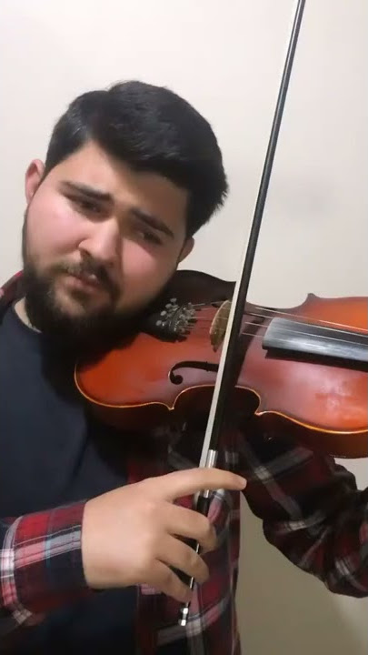 Beginner Fairytale vs Pro Fairytale Violin #shorts
