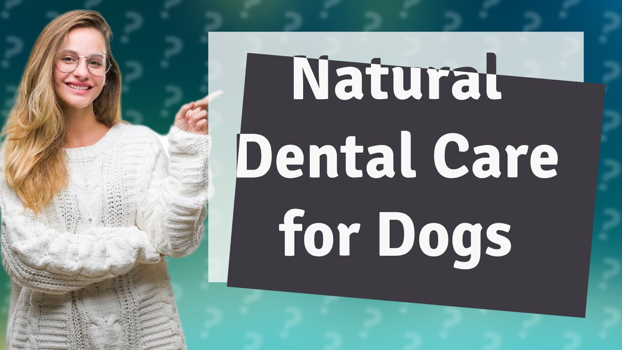 Is it OK to brush dog's teeth with coconut oil? YouTube