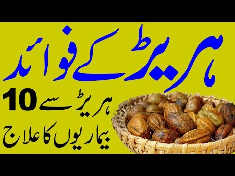 Harar Ke Fayde | Harad Benefits | Hareer ke faide | Haritaki (terminalia chebula) benefits