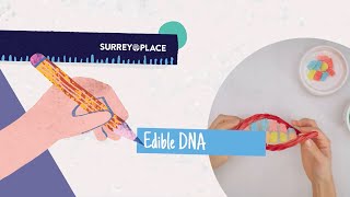 DIY Edible DNA