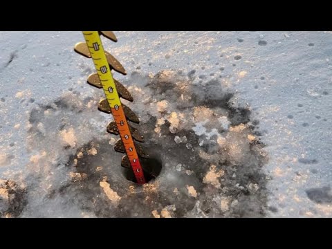 Jiffy Ice Scout