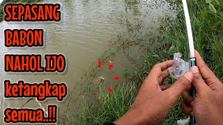 SO LUCKY ‼️ A PAIR OF NAHOL IJO BABONS CAUGHT || fishing for red devil fish NAHOL MANIA