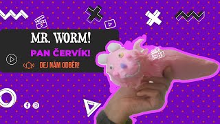 Mr. WORM Aneb uč se s námi anglicky