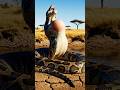 Giant Python What is Calling ? #python #shorts