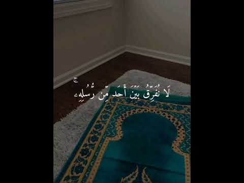 مشاري راشد العفاسي أجمل حالات واتس اب دينية مقاطع دينية قصيرة مقاطع انستقرام دينية اخر سورة البقرة 