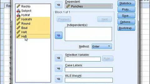 Multiple regression (SPSS)