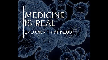 Переваривание липидов