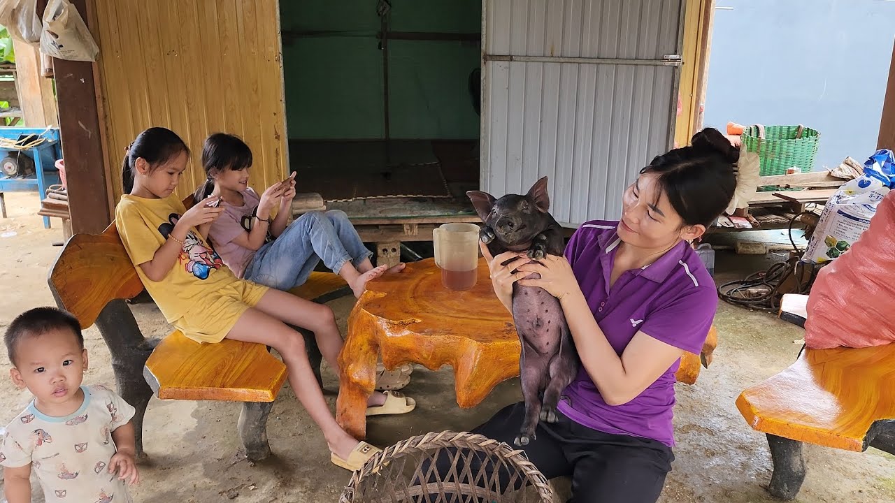 Buy a pig to train  /@ThoaRurallife  #95 