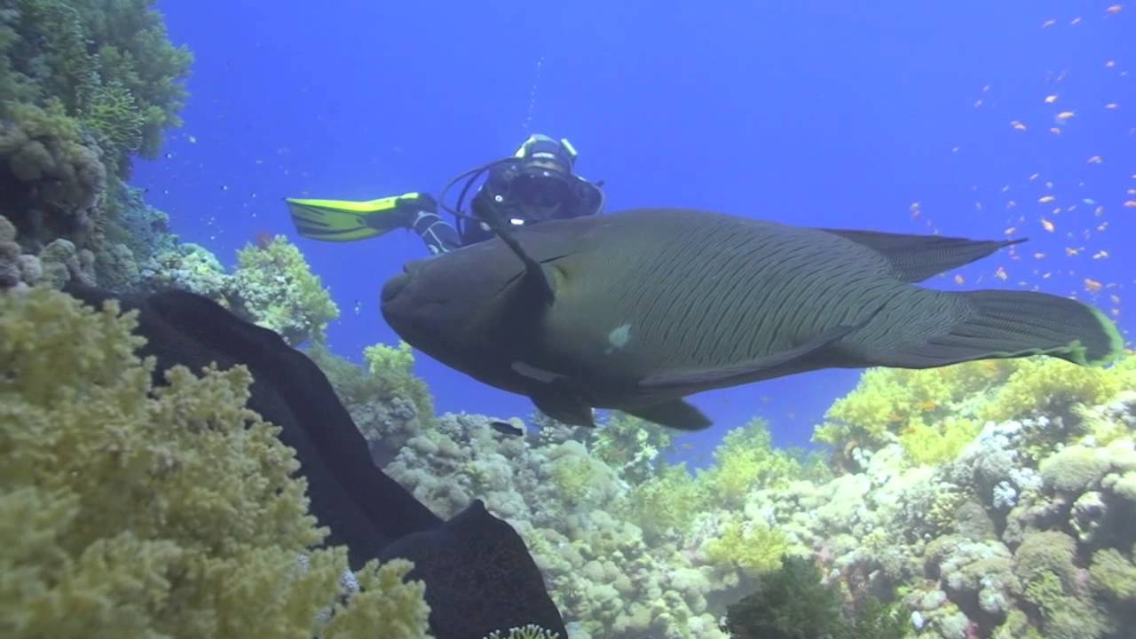 stagione degli amori parte 1