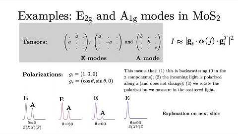Raman Polarization: Tutorial 1/2