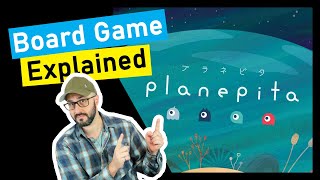 Is Planepita for you? A Quick Overview!