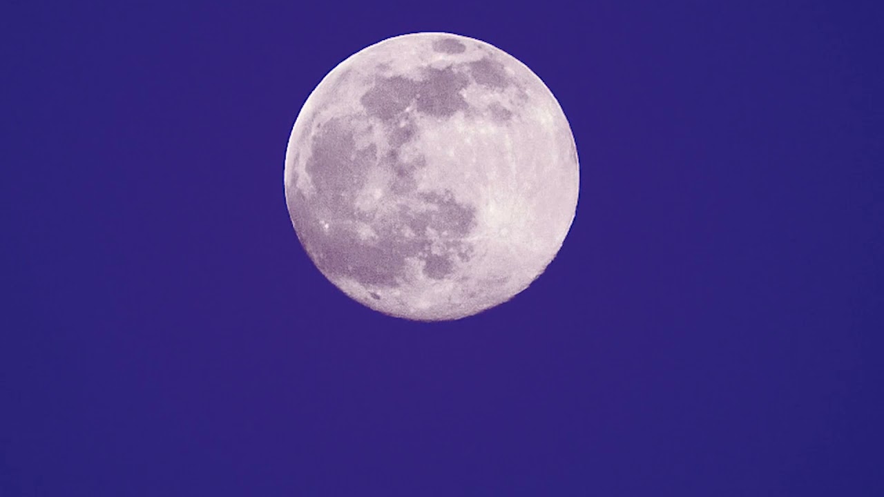 A people free to choose will always choose peace sound pavilion Relax Music To Chill Out 2021