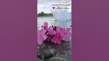 الحمد لله رب العالمين // تلاوة خاشعة ومبكية بصوت الشيخ ياسر الدوسري