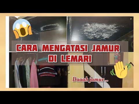 Cara Mengatasi Jamur di Lemari Pakaian