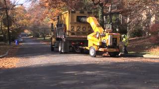 Montgomery County Leaf Collection Begins Nov. 10