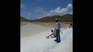 Harvesting Salt From The Salt Pond, Salt Island, British Virgin Islands🇻🇬 |Natural Resource|So Cool😎