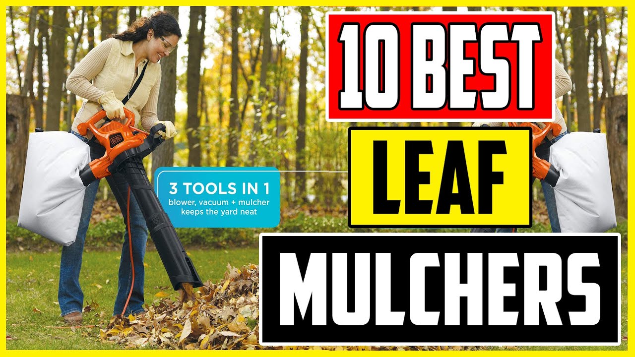 10 Best Leaf Mulchers 2023 Top Leaf Vacuum Mulcher Review YouTube