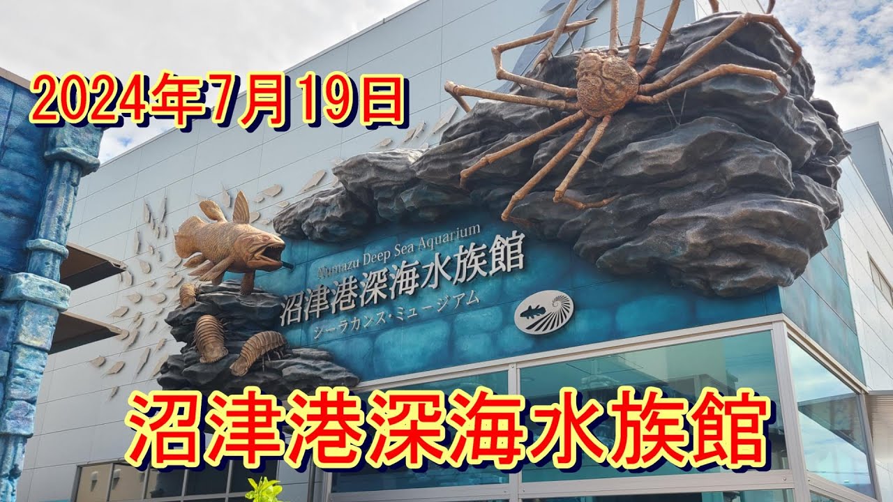 【沼津港深海水族館】静岡県沼津市【沼津魚市場INO】