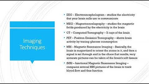 Lecture 2.7a: Tools for Examining Brain Structure and Fun.