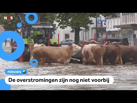 Noodweer in Duitsland: huizen kapot en koeien gered