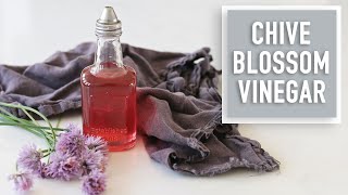 How to Make Chive Blossom Vinegar - SO YUMMY!
