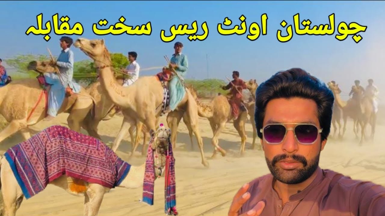 Cholistan unt race✌️