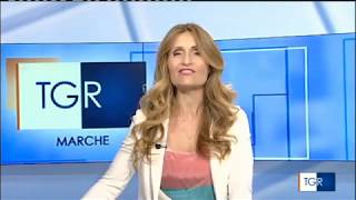 Servizio TG MARCHE - 2 Luglio 2020 - Conferenza stampa 'Protocollo TACCO'