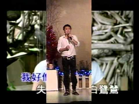 洪志清-白鷺鷥.VOB