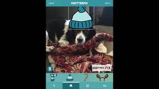App Adventure: Chatterpix
