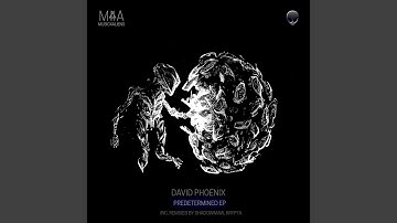 Neural Partitioning (Shadowmaw Remix)