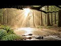 Endless Forest River Rain at Sunrise 🌧️ | Misty Woodland ASMR for Deep Sleep &amp; Relaxing Focus