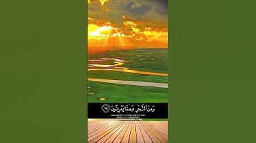 تلاوة خاشعة خاليد الجليل سورة النحل #خالد_الجليل #سورة النحل