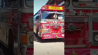 𝐃𝐀𝐍𝐔𝐃𝐃𝐀𝐑𝐈 𝐏𝐎𝐖𝐄𝐑 𝐋𝐈𝐍𝐄 & Green Angel Speed Runner