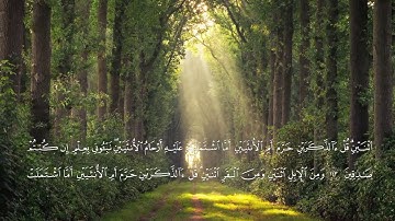 تلاوة  لآيات من سورة الأنعام للشيخ أحمد خليل شاهين