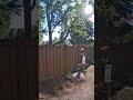 Wild visitors in the backyard! 🐾 #mountain_lion