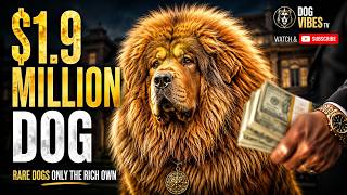 The $1.9 Million Dog & 4 Other Breeds Only The Rich Own