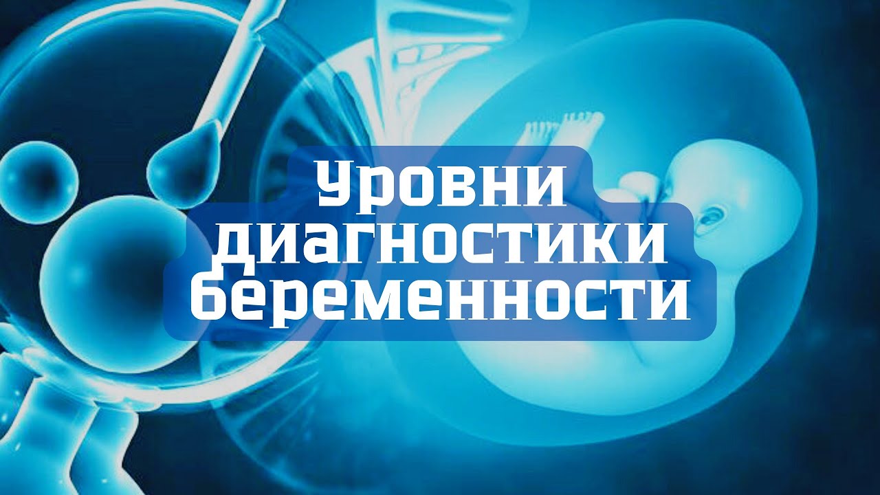 Как диагностировать беременность (после ЭКО и не только)? 3 уровня ...