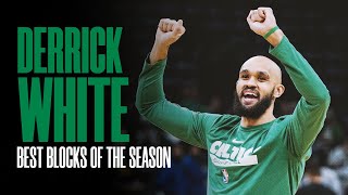 Best of Derrick White's blocks in 202324 NBA Regular Season